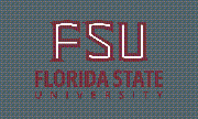 Florida State University Logo